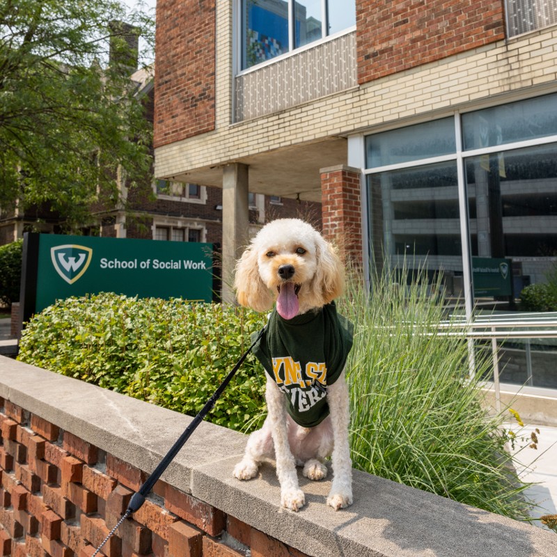 Jim the Cockapoo in front of the School of Social Work