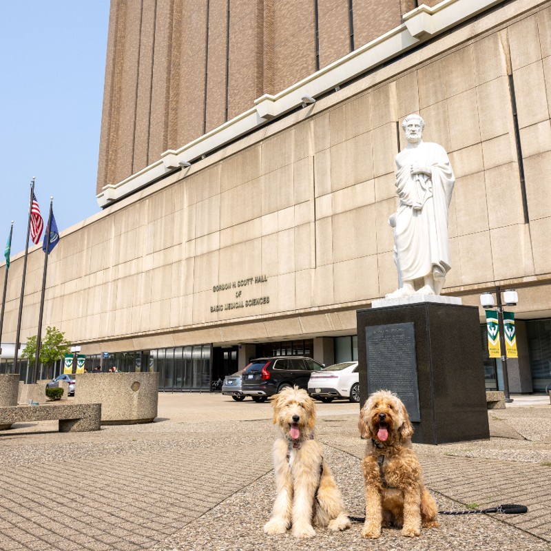 Lenny and Maizey at the School of Medicine