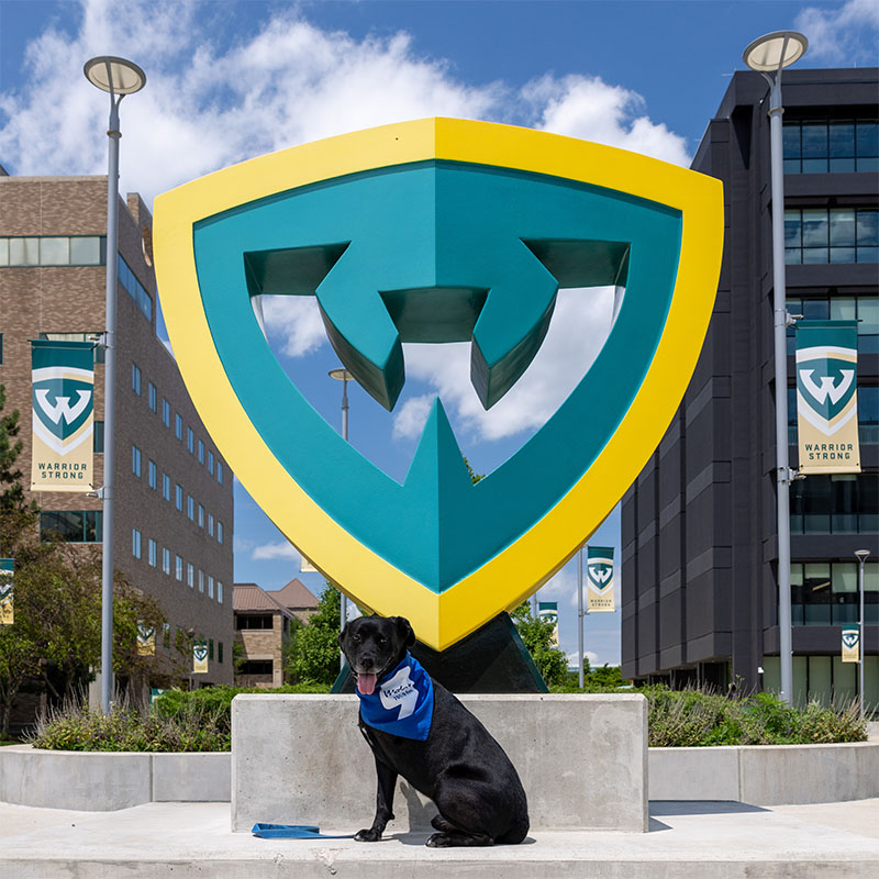 Greg the lab in front of the W shield on campus